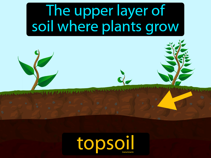 Topsoil Definition