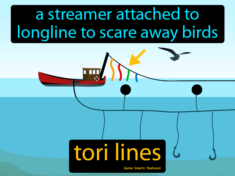 Tori Lines Definition