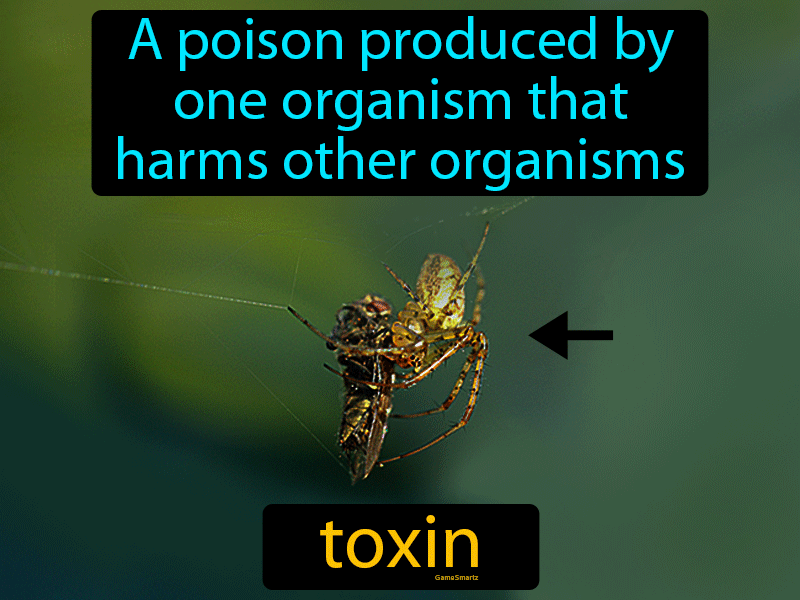 Toxin Definition