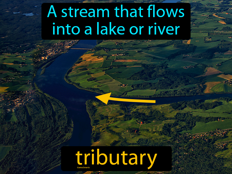 Tributary Definition