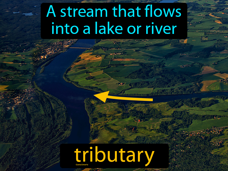 tributary definition