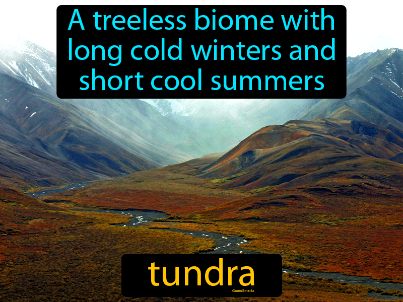 Tundra Definition