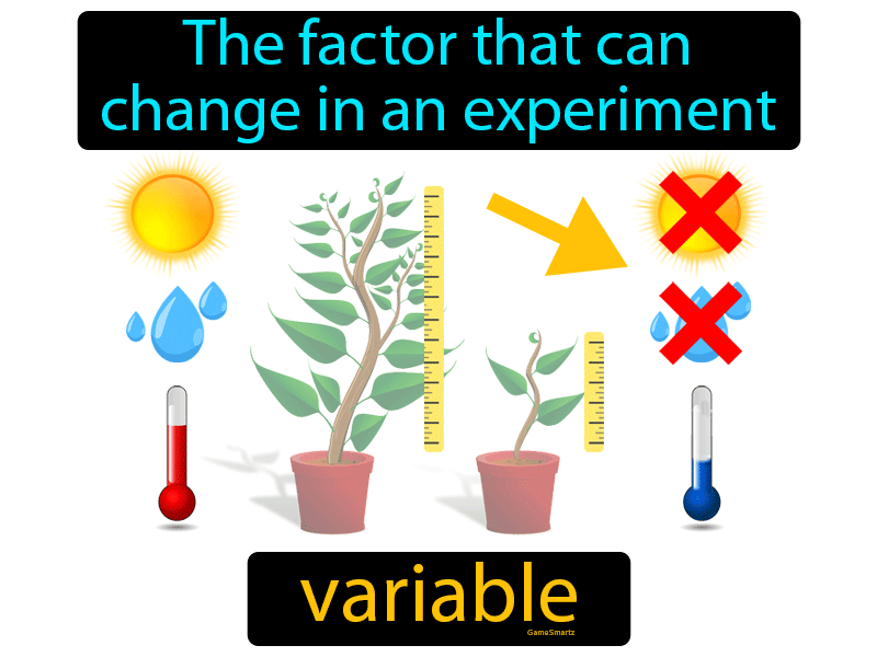 What Is The Definition Of Variable