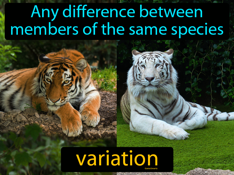 Variation Definition Image GameSmartz