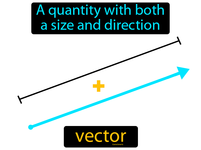 Vector Definition