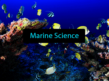 11th Grade Marine Science