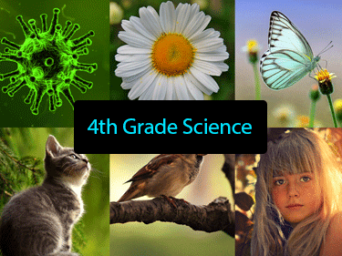 4th Grade Science 4th Grade