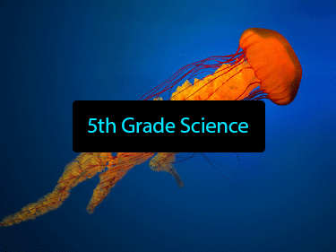 5th Grade Science 5th Grade