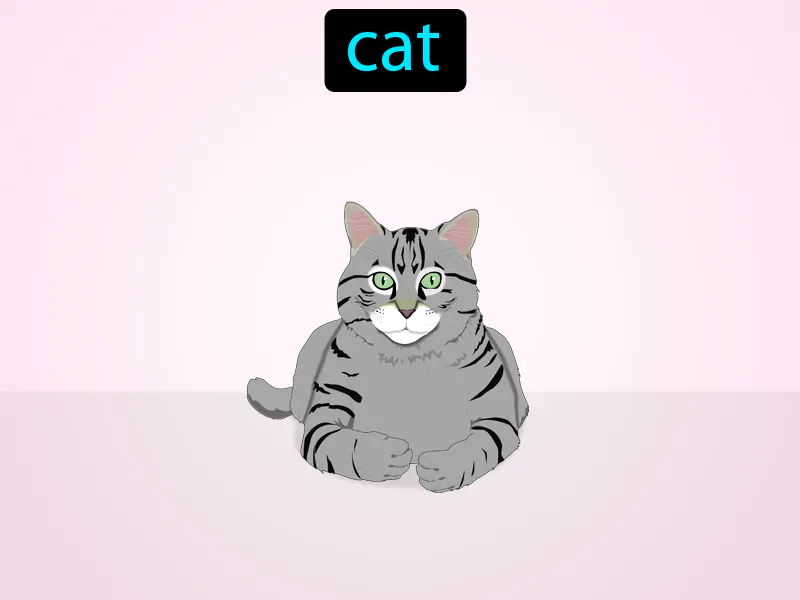 El Gato Definition