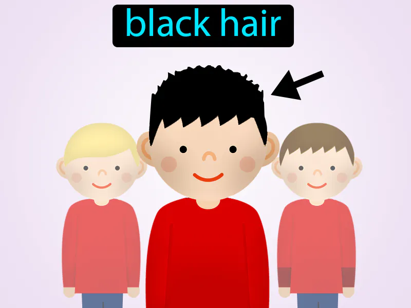 El Pelo Negro Definition El Pelo Negro Definition