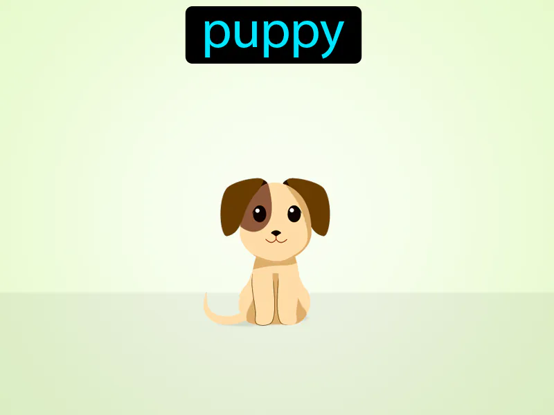 El Perrito Definition El Perrito Definition