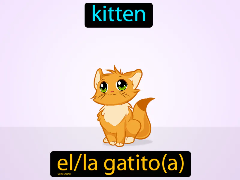 El Gatito Definition