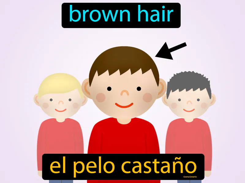 El Pelo Castano Definition El Pelo Castano Definition