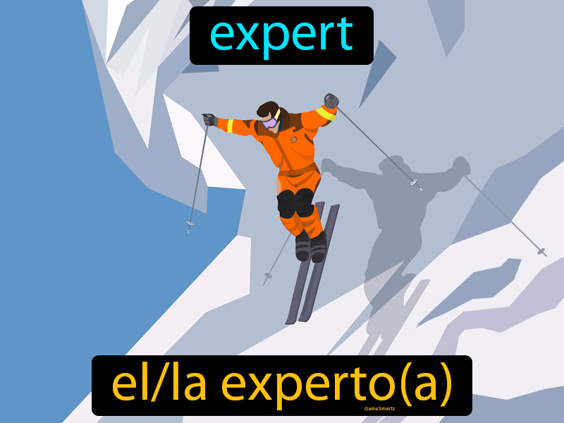 El Experto Definition