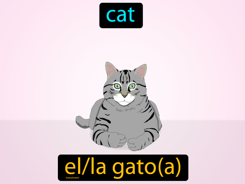El Gato Definition
