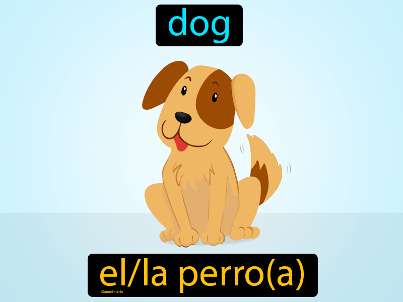 El Perro Definition