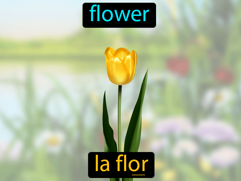 La Flor Definition